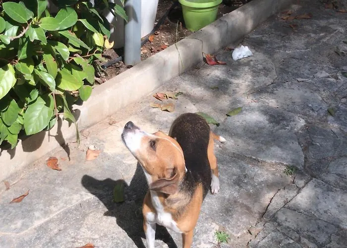 Nocleg ze śniadaniem Susanna B E B