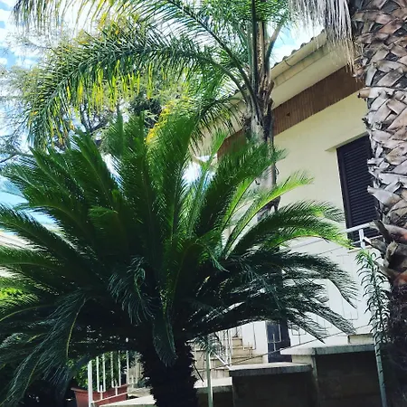 Oda ve Kahvaltı Susanna B E B 3*