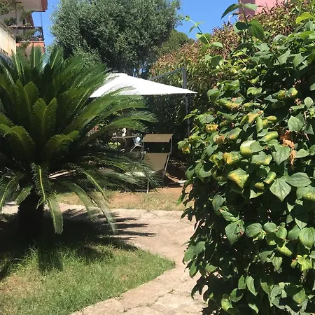 Bed & Breakfast Susanna B E B Brindisi