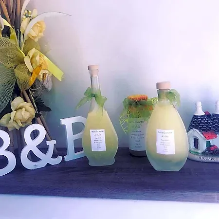 住宿加早餐酒店 Susanna B E B 布林迪西